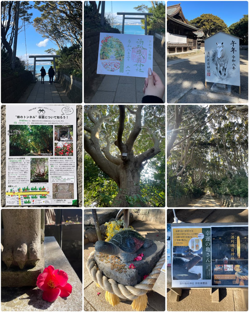 たまりん tweet media