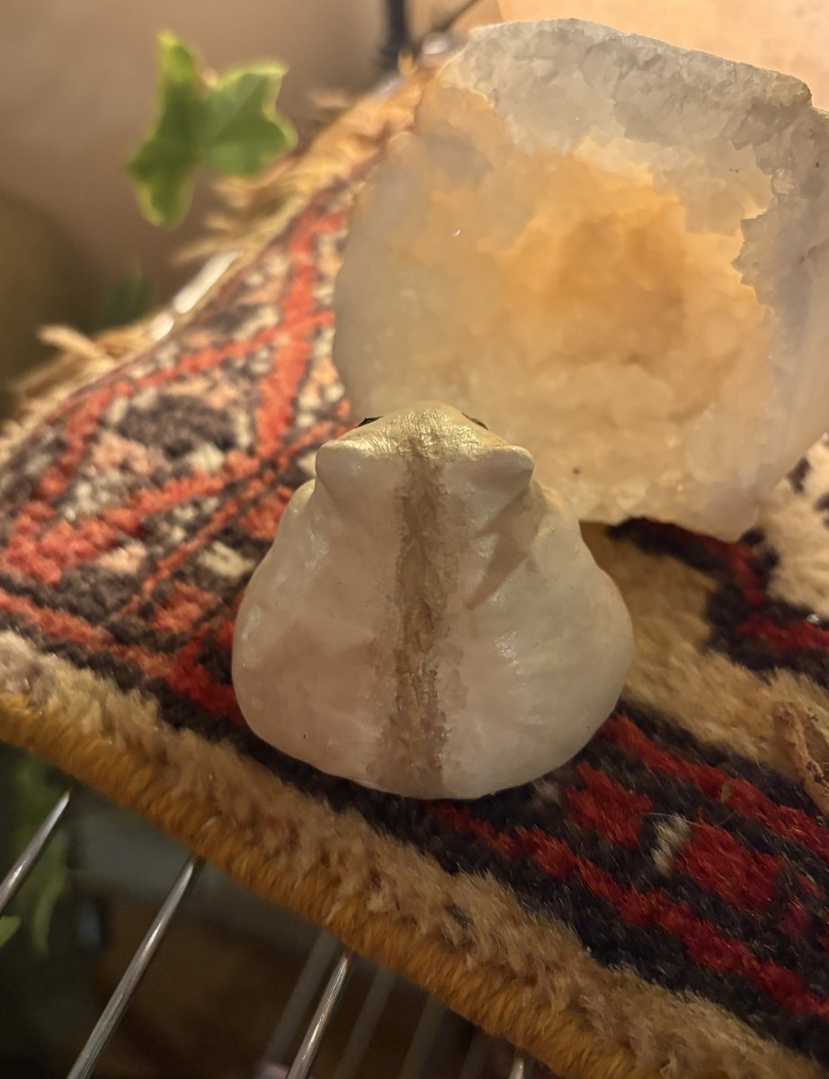 𝑨𝒎𝒆𝒕𝒉𝒚𝒔𝒕 (pigeon girl) 🐦 𖦹⭒°｡⋆ tweet media