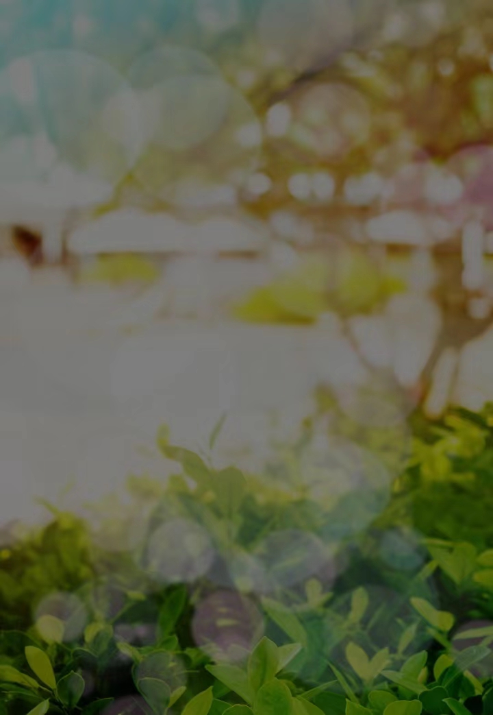 Juan Andrés Morales tweet media