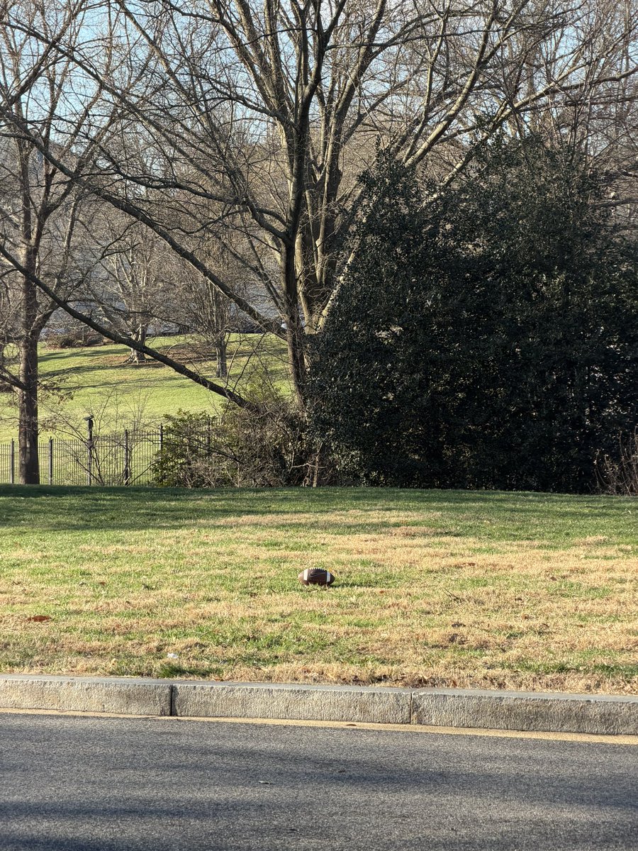 Mary Margaret Olohan tweet media