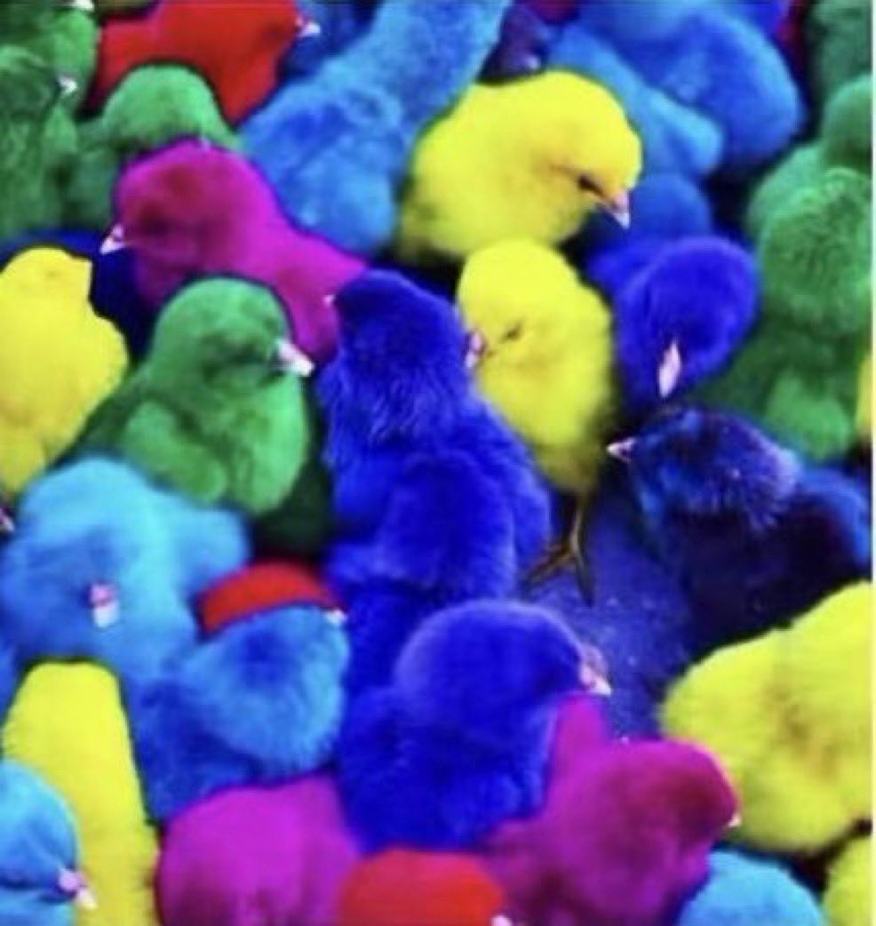 يــوســف مــال الله tweet media