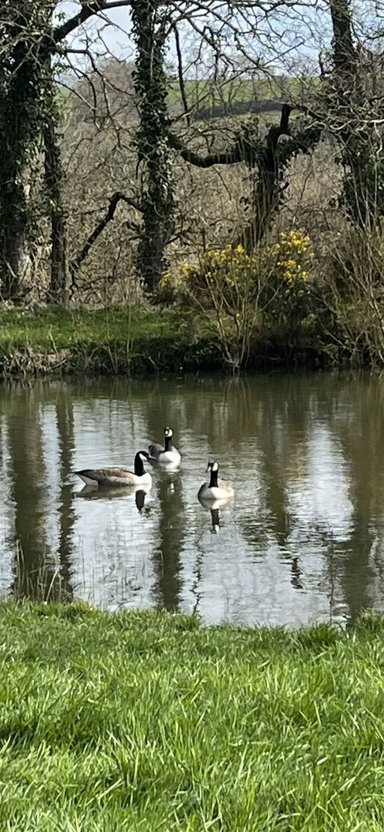 coral dinner tweet media