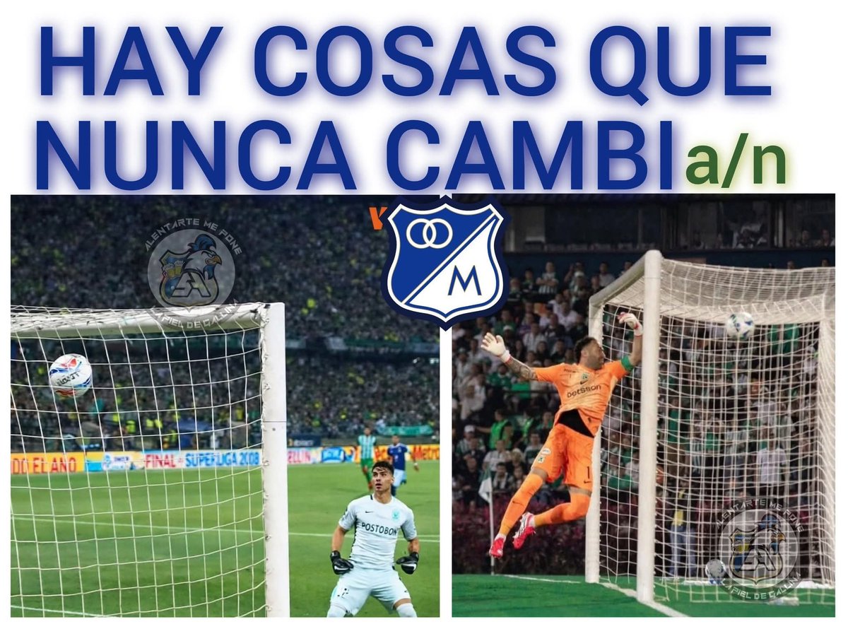 Sangre Azul Colombia tweet media