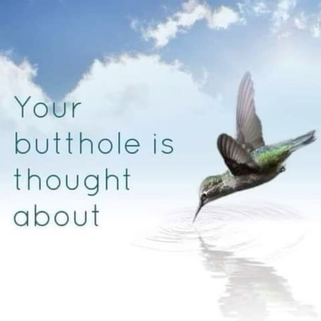 FurryFollowing tweet media