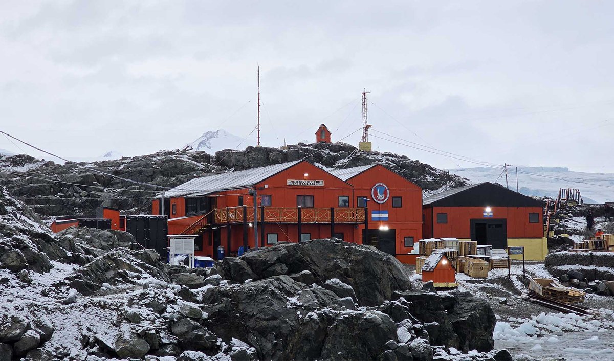 Argendef tweet media