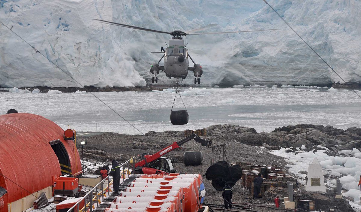 Argendef tweet media