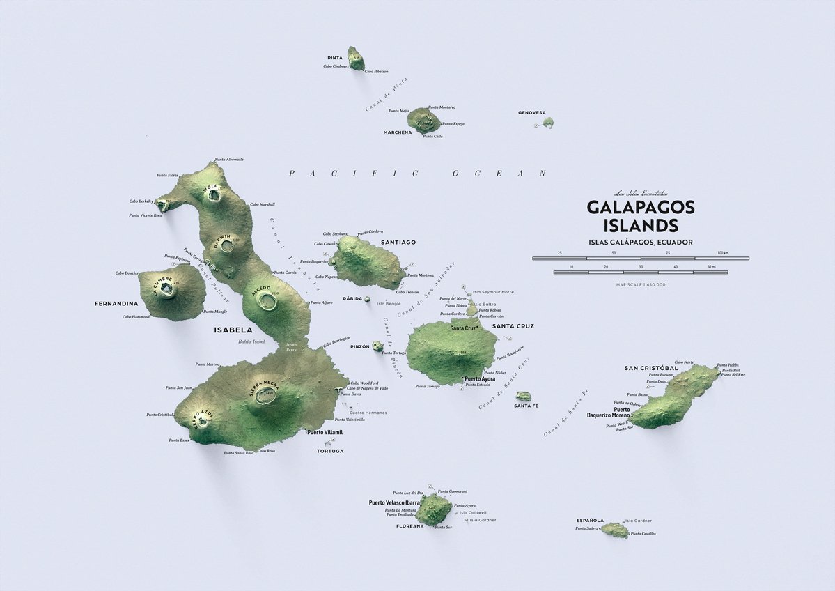 verygoodmaps tweet media