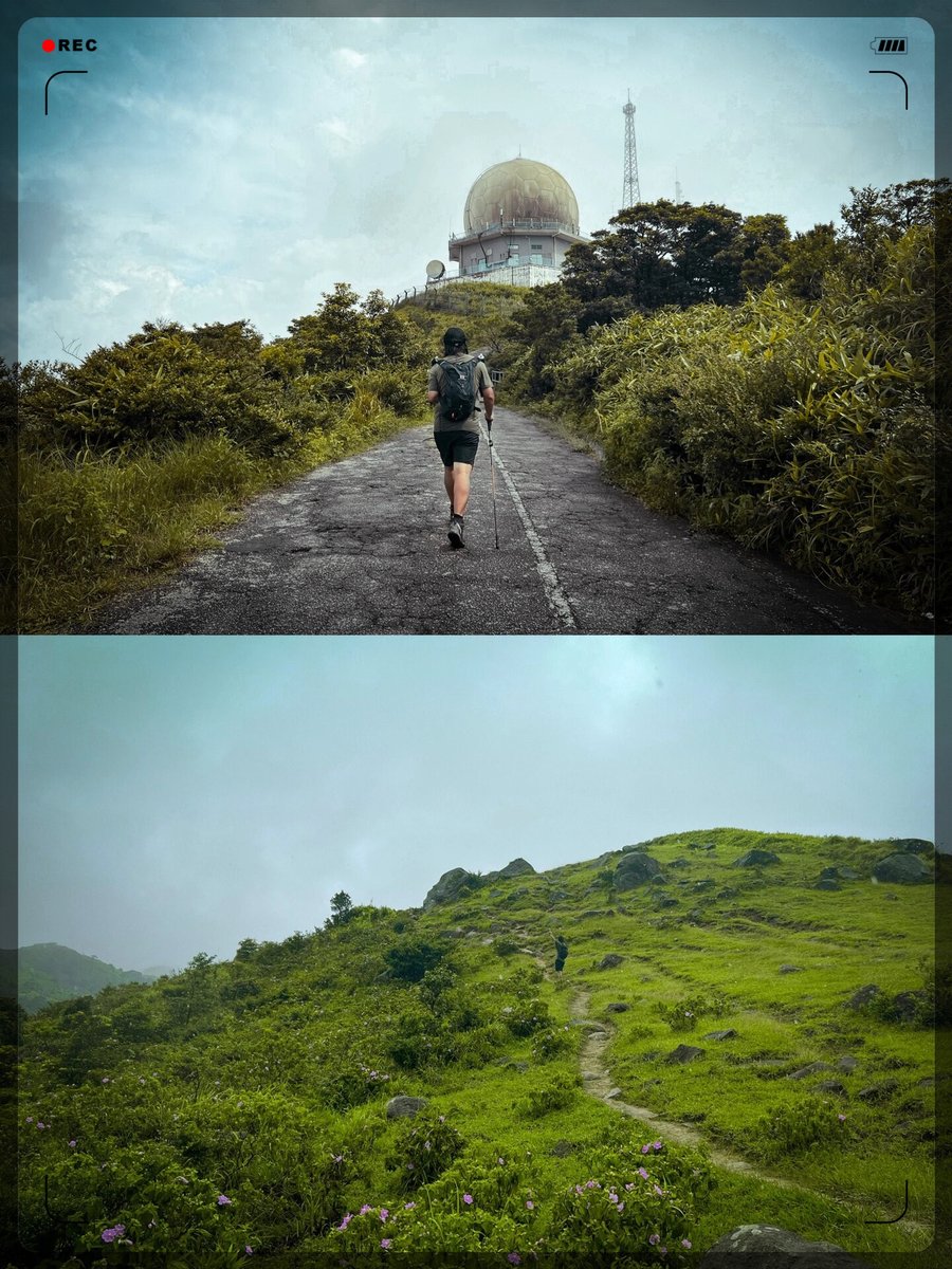 Musica Glory tweet media