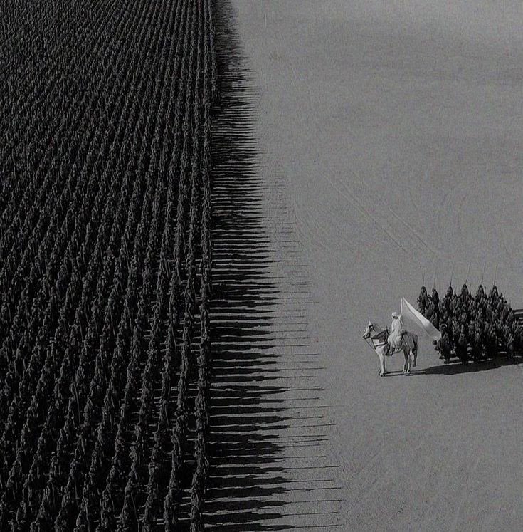 Warchillect tweet media