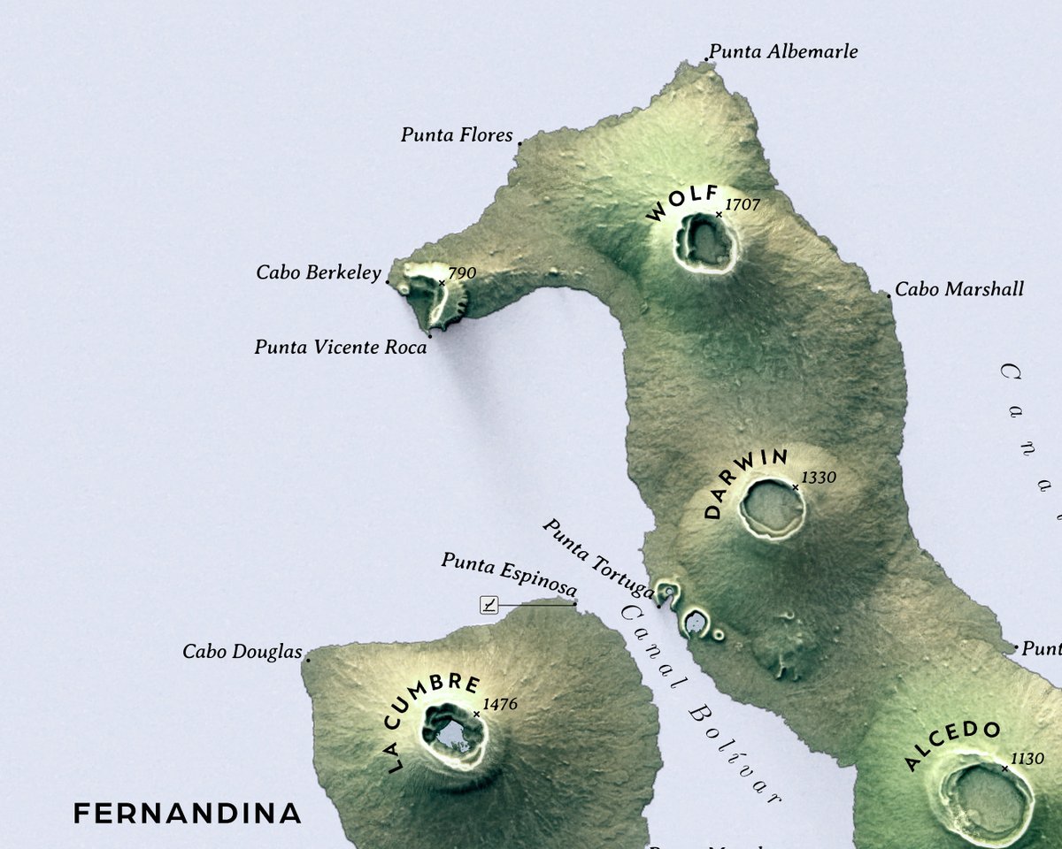 verygoodmaps tweet media