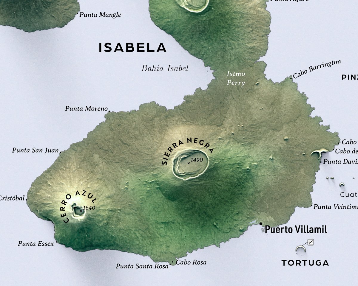 verygoodmaps tweet media