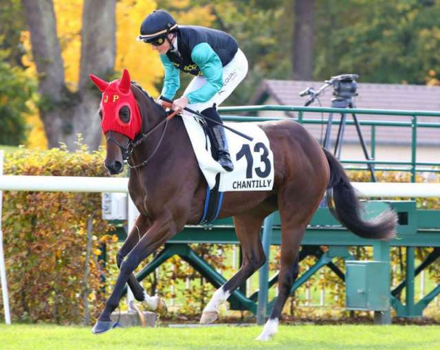 Pronosticpmu_fr's tweet photo. ALPARSLAN (3 - Maxime  Guyon) notre favori pour le #quinté + du jour à Fontainebleau (Prix Robert De Catheu - R1-C1 - Plat - 15 pts - 1.200 m. (LD) - Piste en herbe - Corde à gauche - Terrain: Souple 3,7)

Non partant: 7 TIME GOES ON
Départ prévu à 13H55

https://t.co/reuTZ2tyWA https://t.co/RlSmAbQgIW