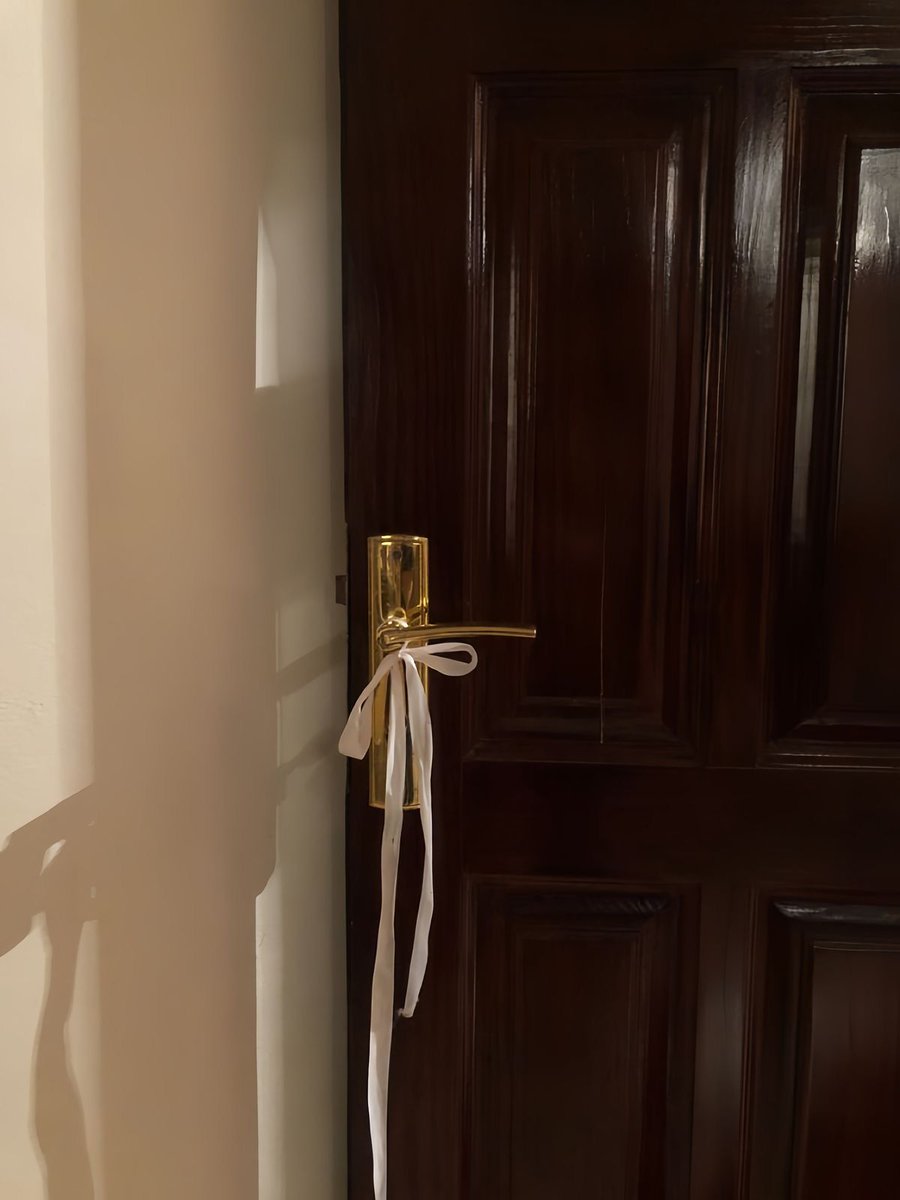 우유소녀제티 tweet media