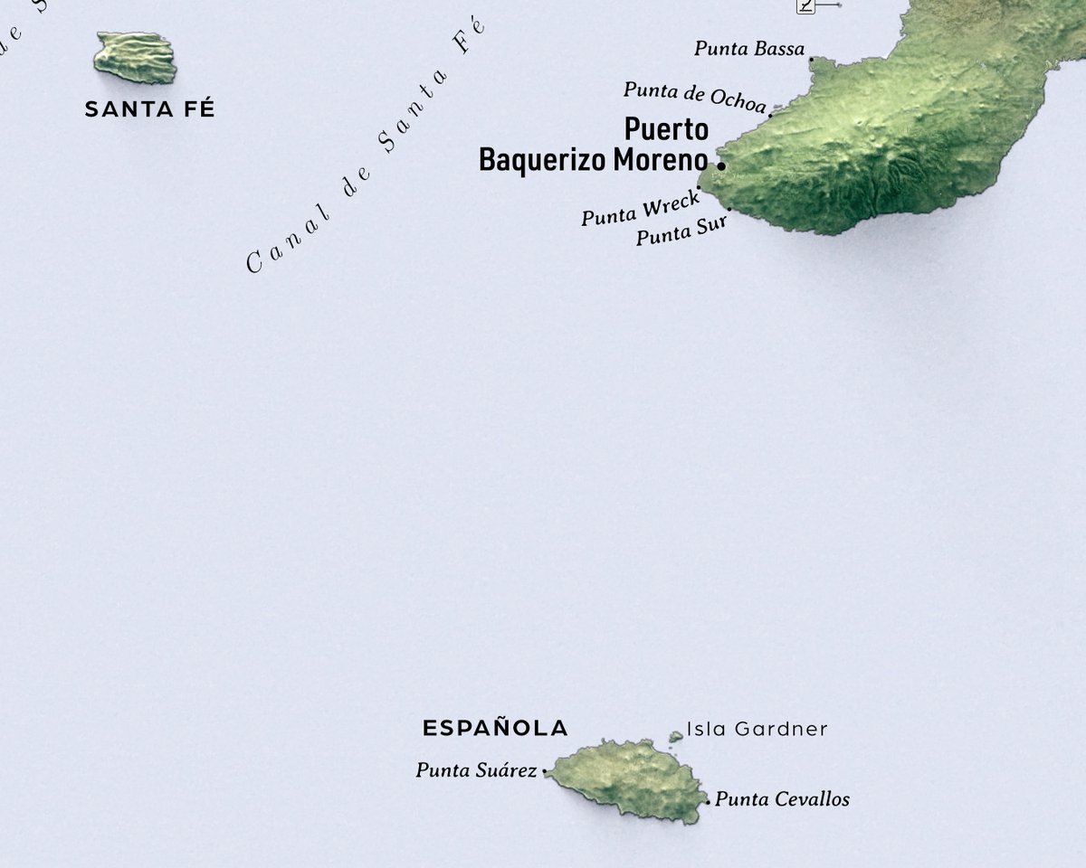 verygoodmaps tweet media