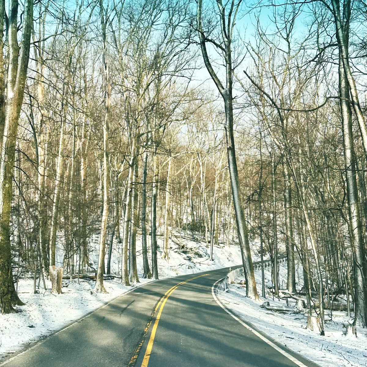 Scott Jacobson tweet media