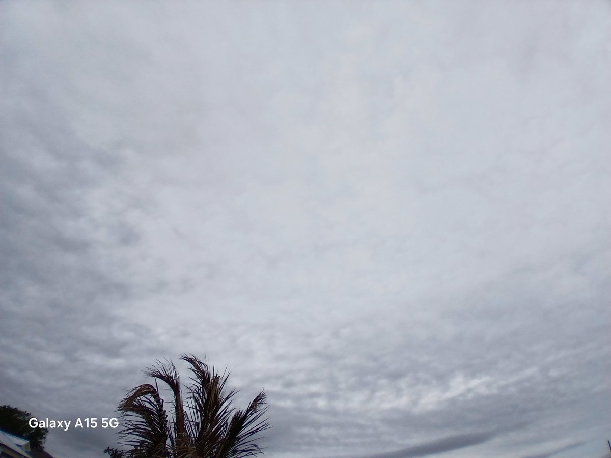 NICK BAZINET tweet media