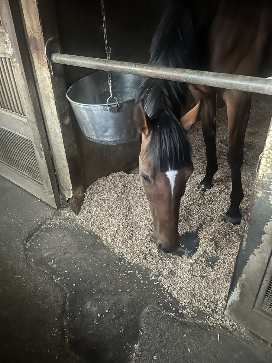 としまる tweet media