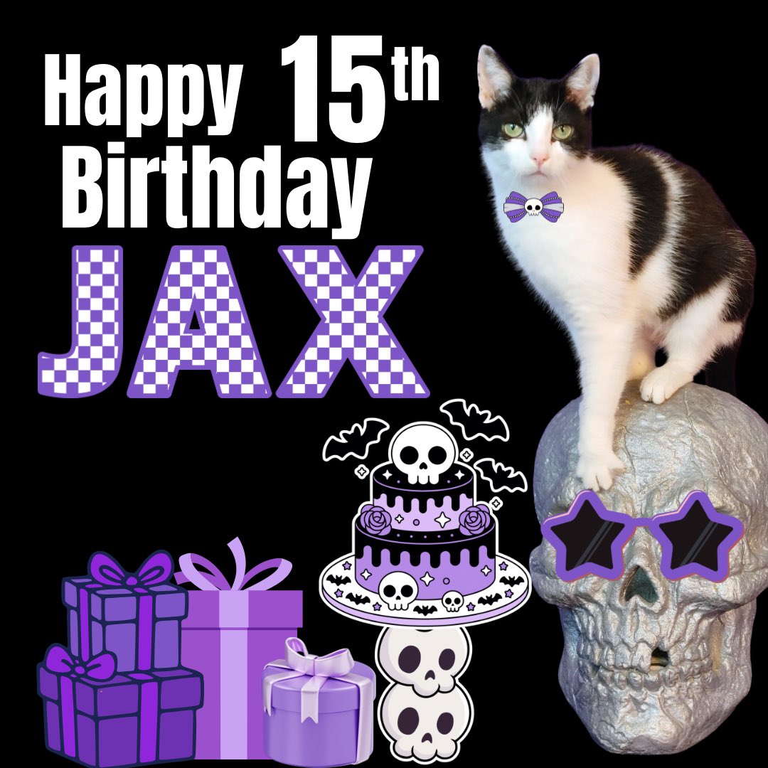 AmazingAcroCats's tweet photo. Happy birthday, @JaxAcrocat!
#acrocats #jaxacrocat https://t.co/OgwMokaWP3
