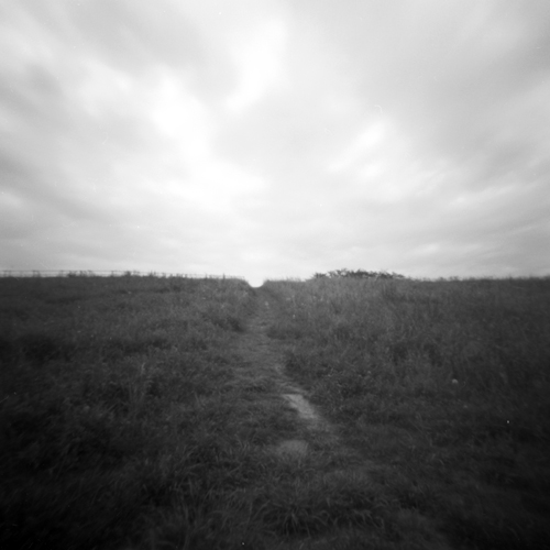 しきはん 🎞 tweet media