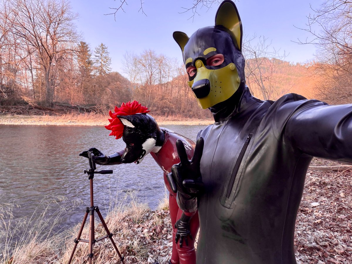 Mittens 🇦🇹 tweet media