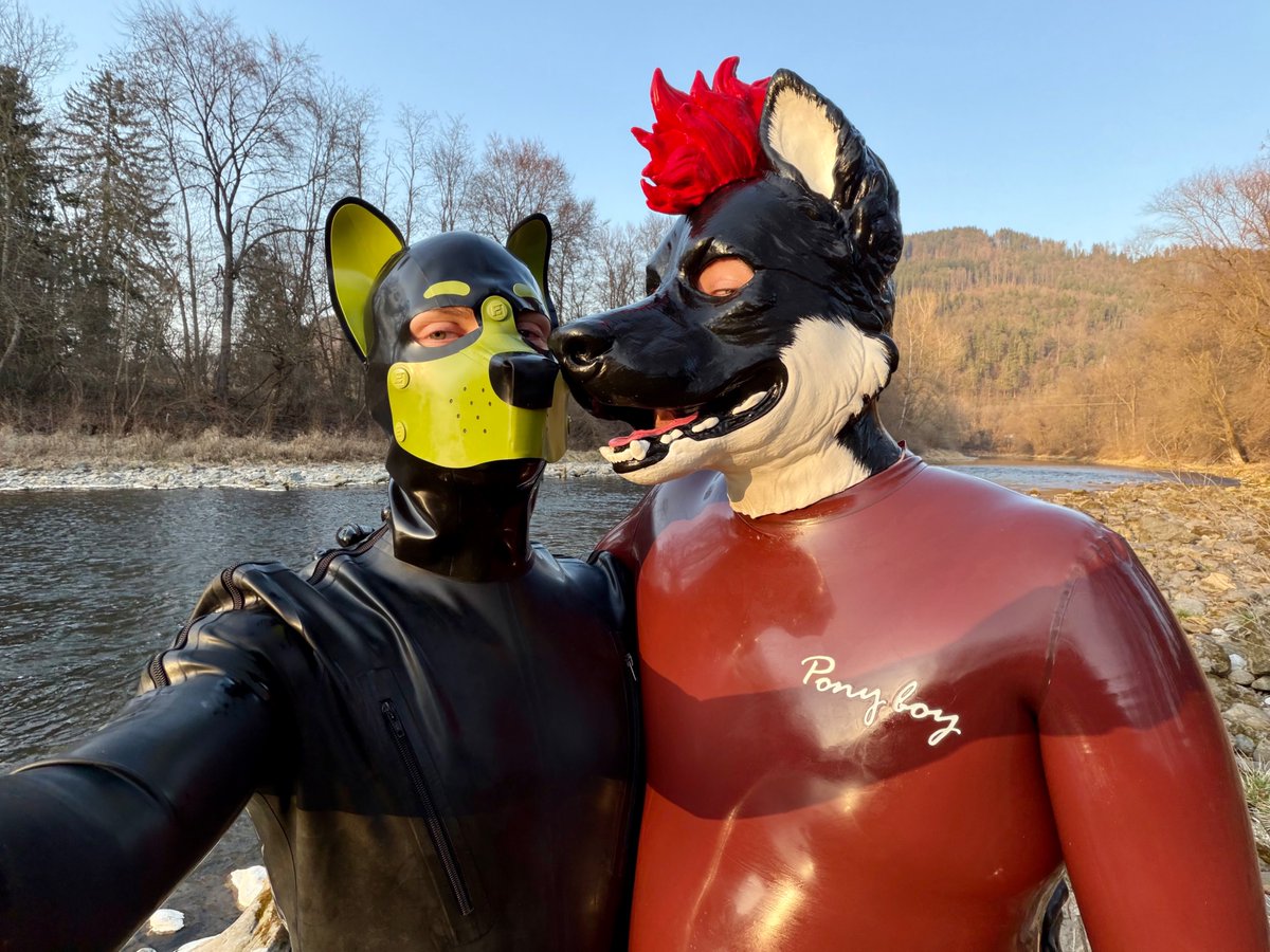 Mittens 🇦🇹 tweet media