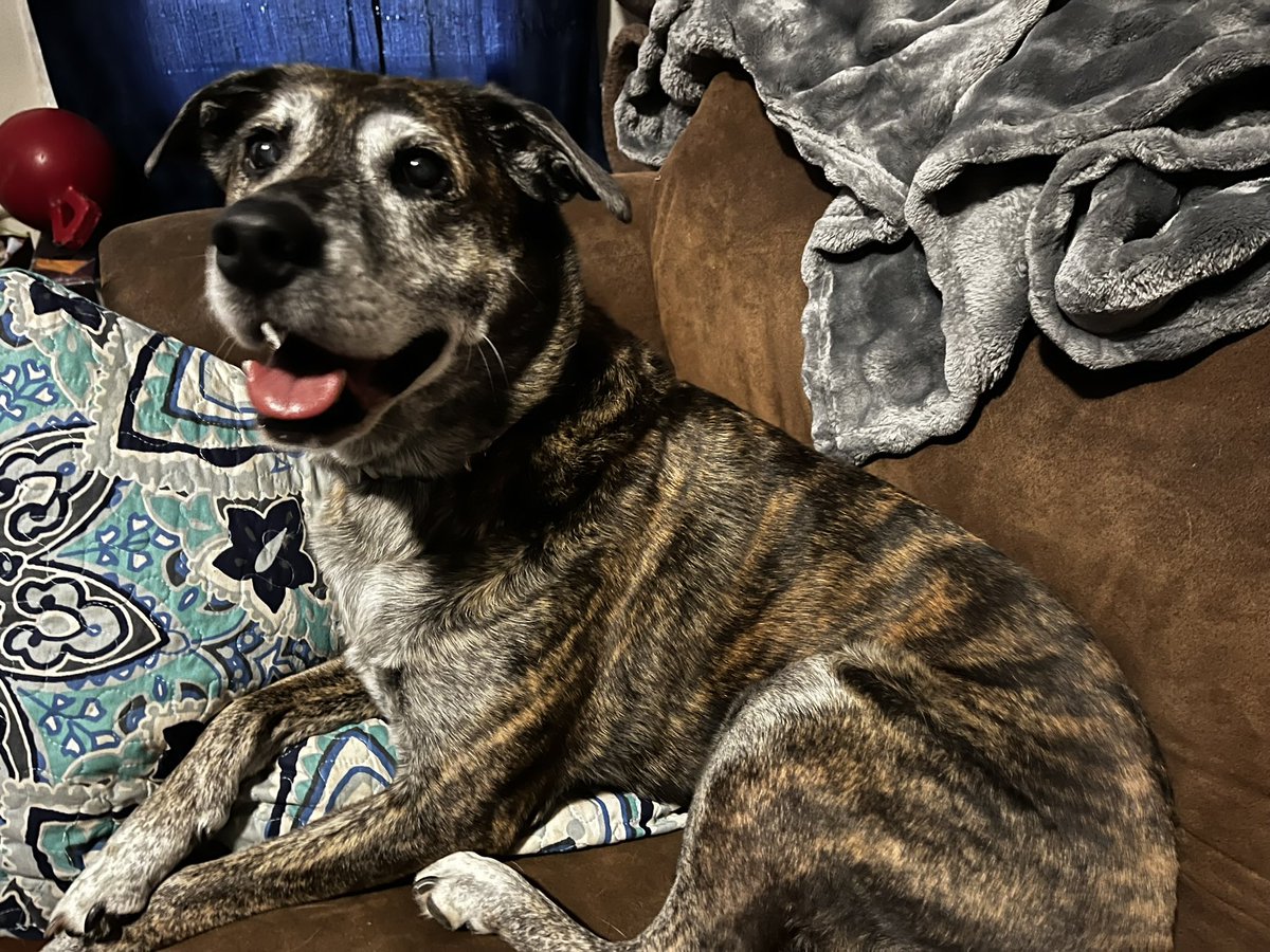 Potato Jolson tweet media