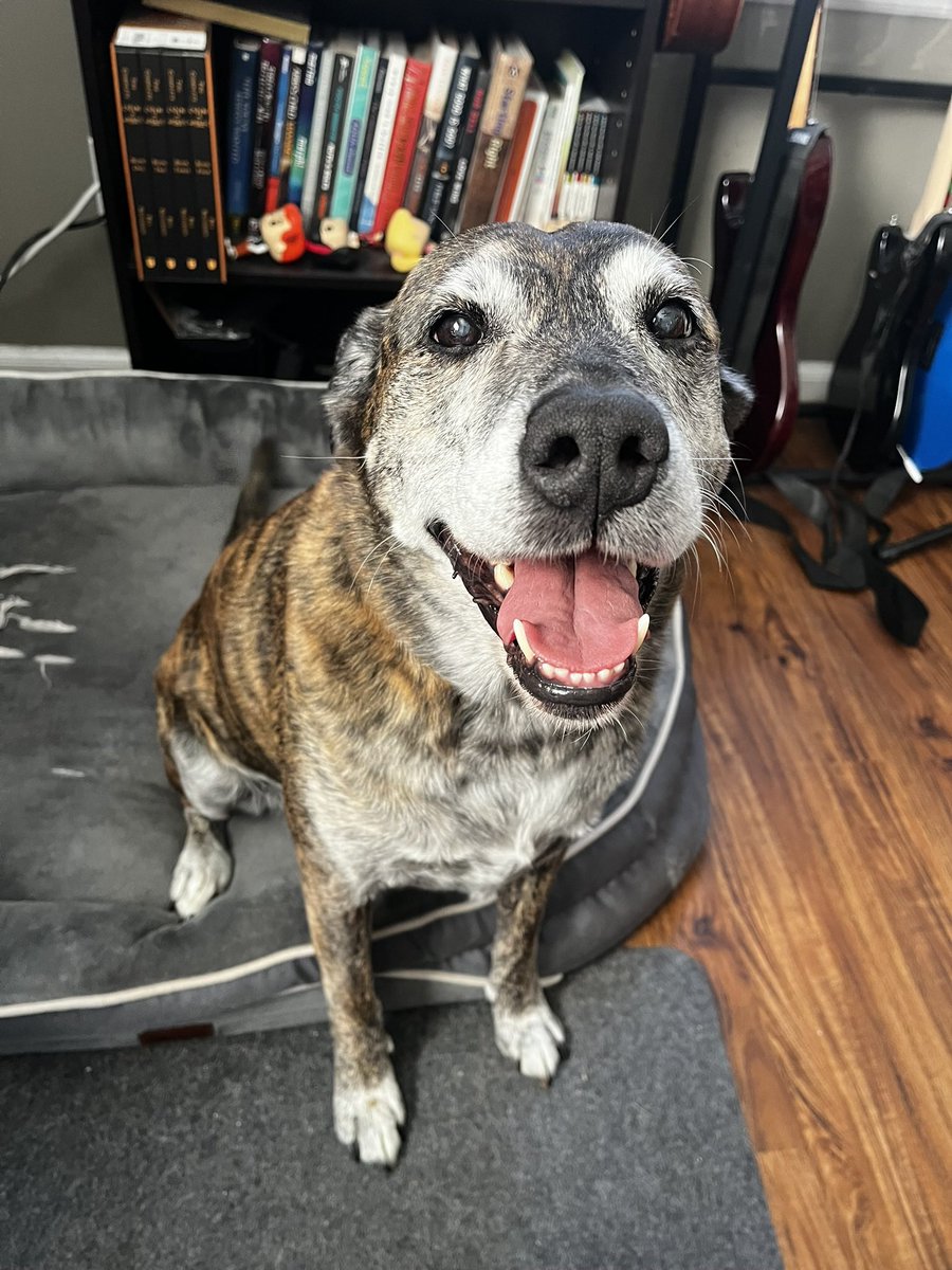 Potato Jolson tweet media