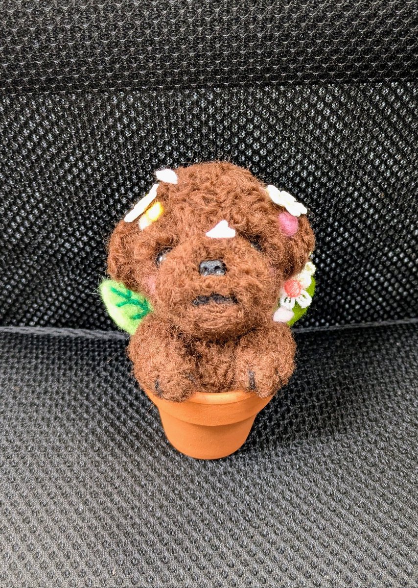 Enjoy_AMIAMI's tweet photo. 春、先取り🐶🌸

ポカポカお日さまは
動物・植物、み〜んなの元気の源✨

#ハンドメイド #羊毛フェルト
#トイプードル https://t.co/ftiZu0GmB1