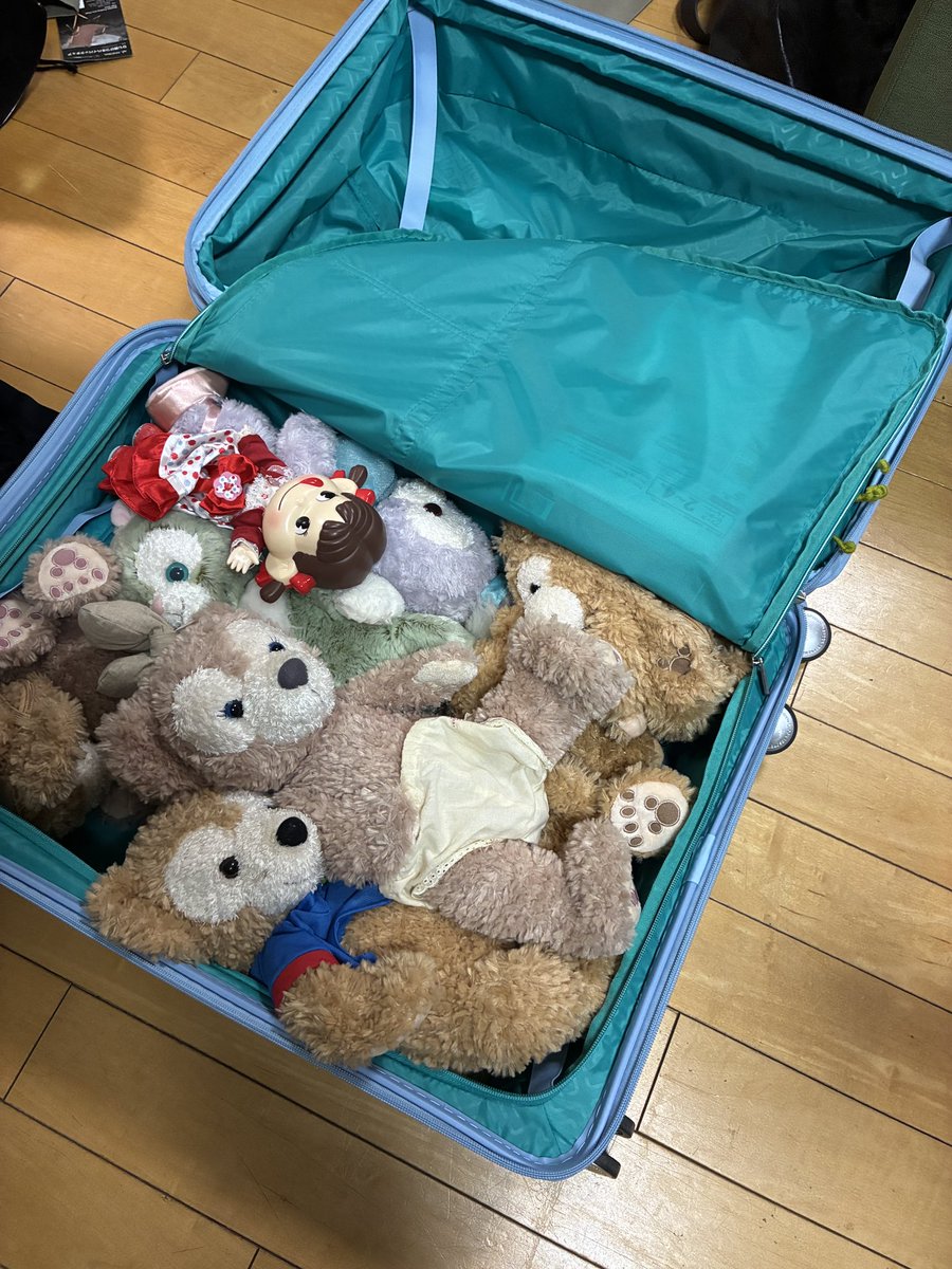 娘よ！
部屋に飾らず、ぬいぐるみをトランクの中に収納するのヤメテ🧸
開けたとき「ドキッ‼️」ってするやんか😱