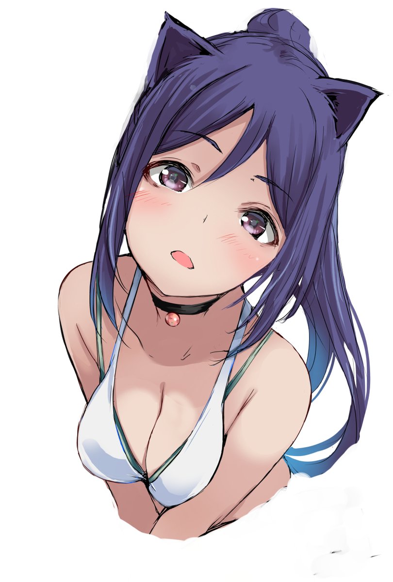 かにゃん
※再掲 