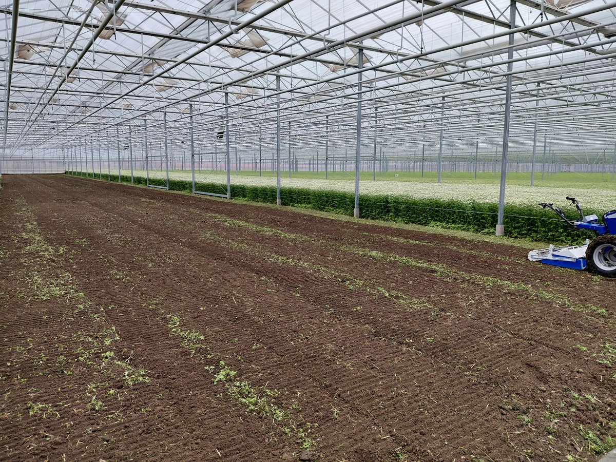 Kees van Egmond 🌼 tweet media