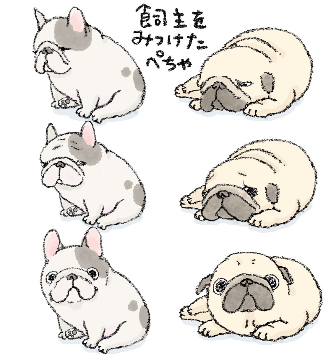 ハナちゃん tweet media