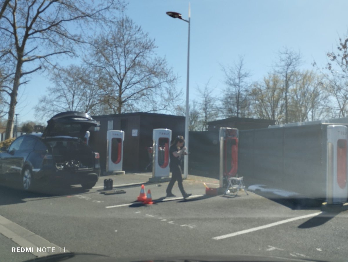 TeslaStars✨ tweet media