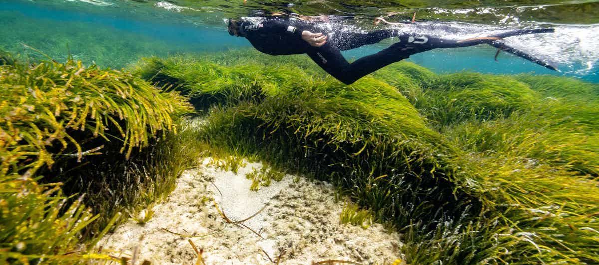 MSC Group tweet media