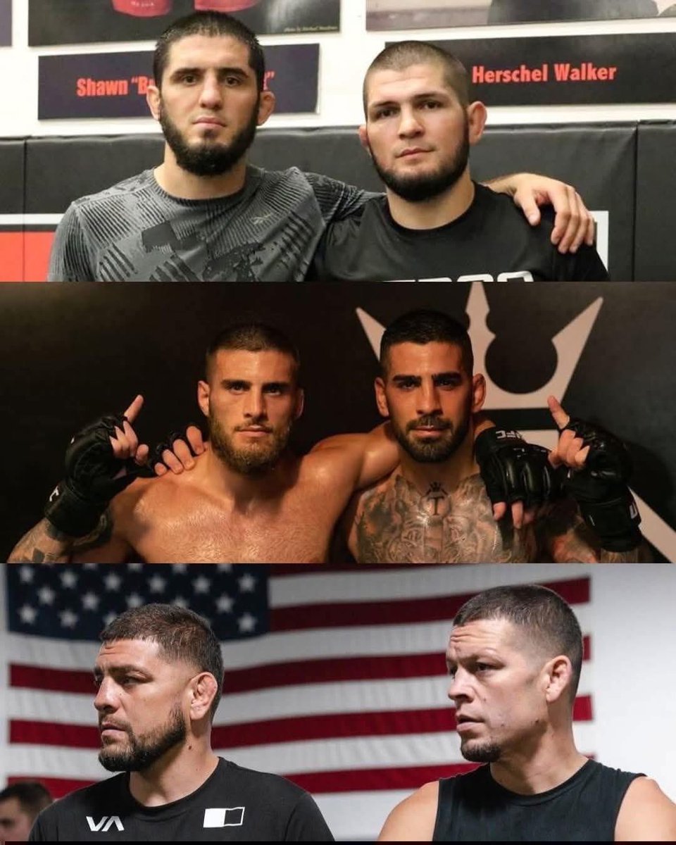 MrTestoestrogen tweet media