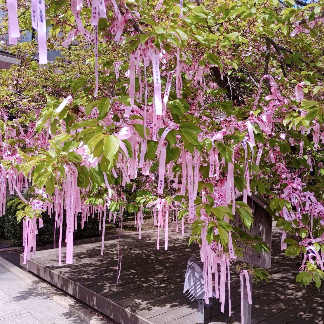 𝘴𝘶𝘻𝘶♩ tweet media