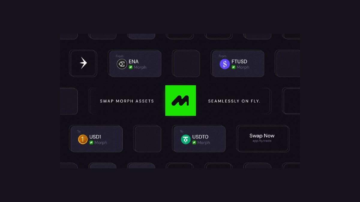 Fly (prev. Magpie Protocol) tweet media