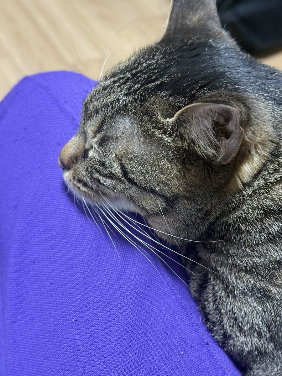 にとぼ🥔 tweet media