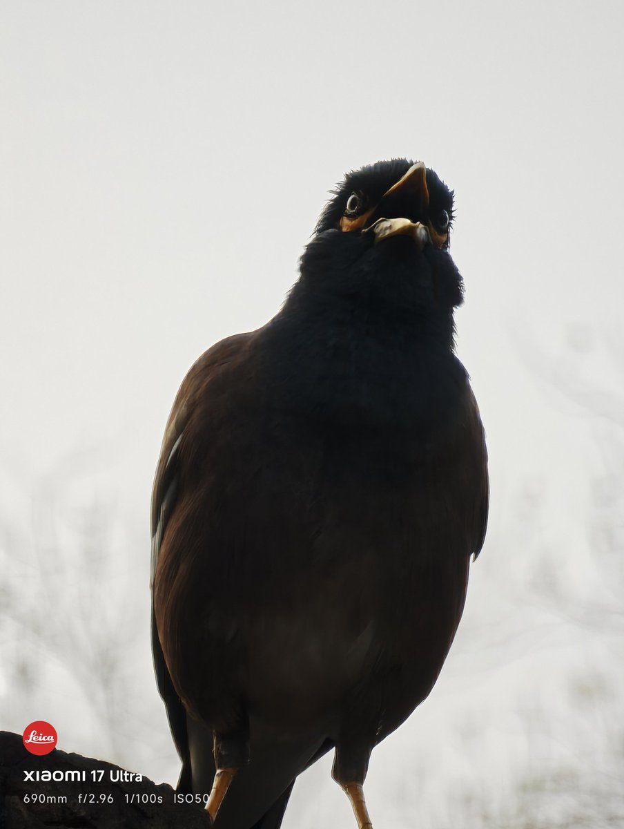 Anir Chakraborty tweet media