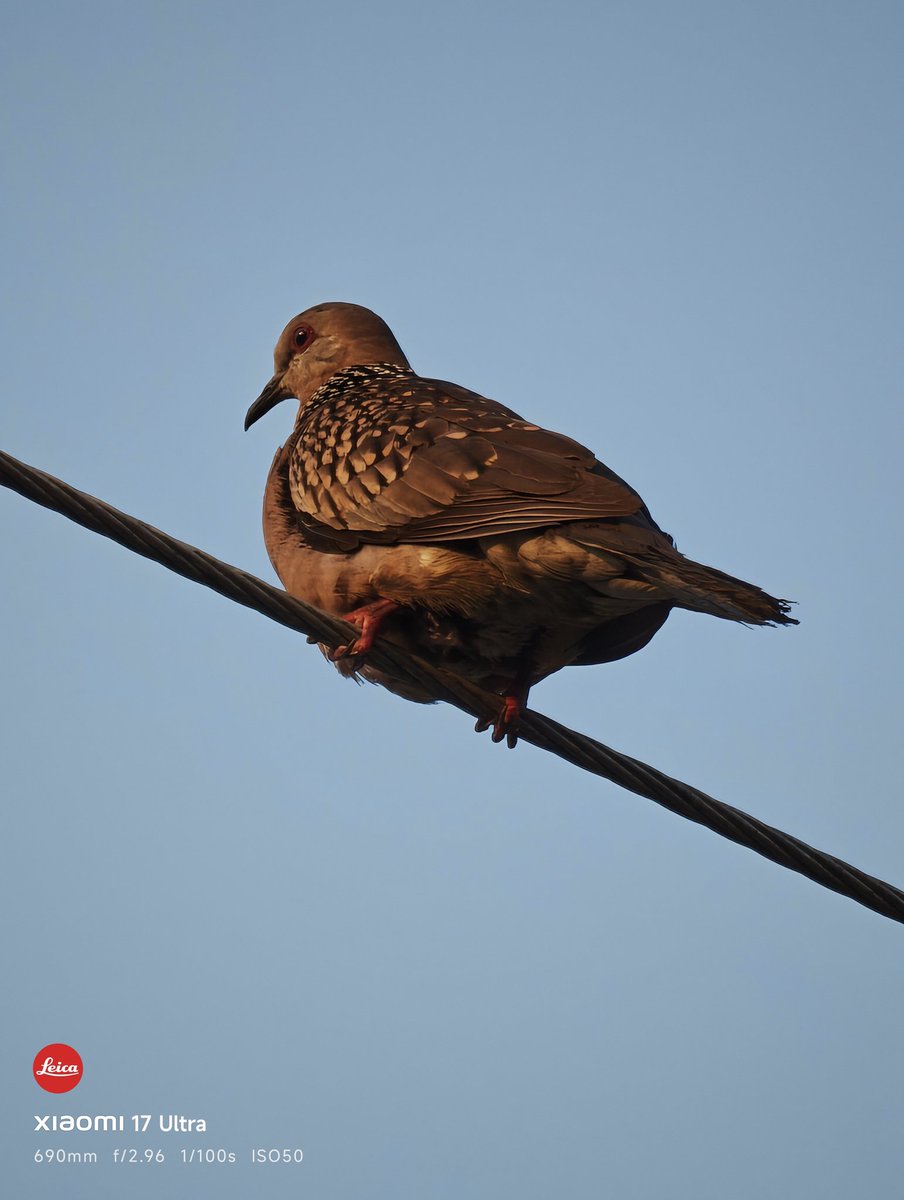 Anir Chakraborty tweet media