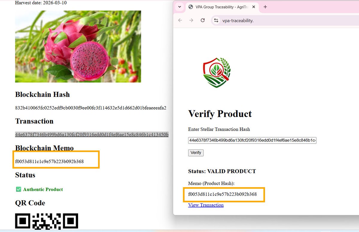 VPA Group ™ tweet media