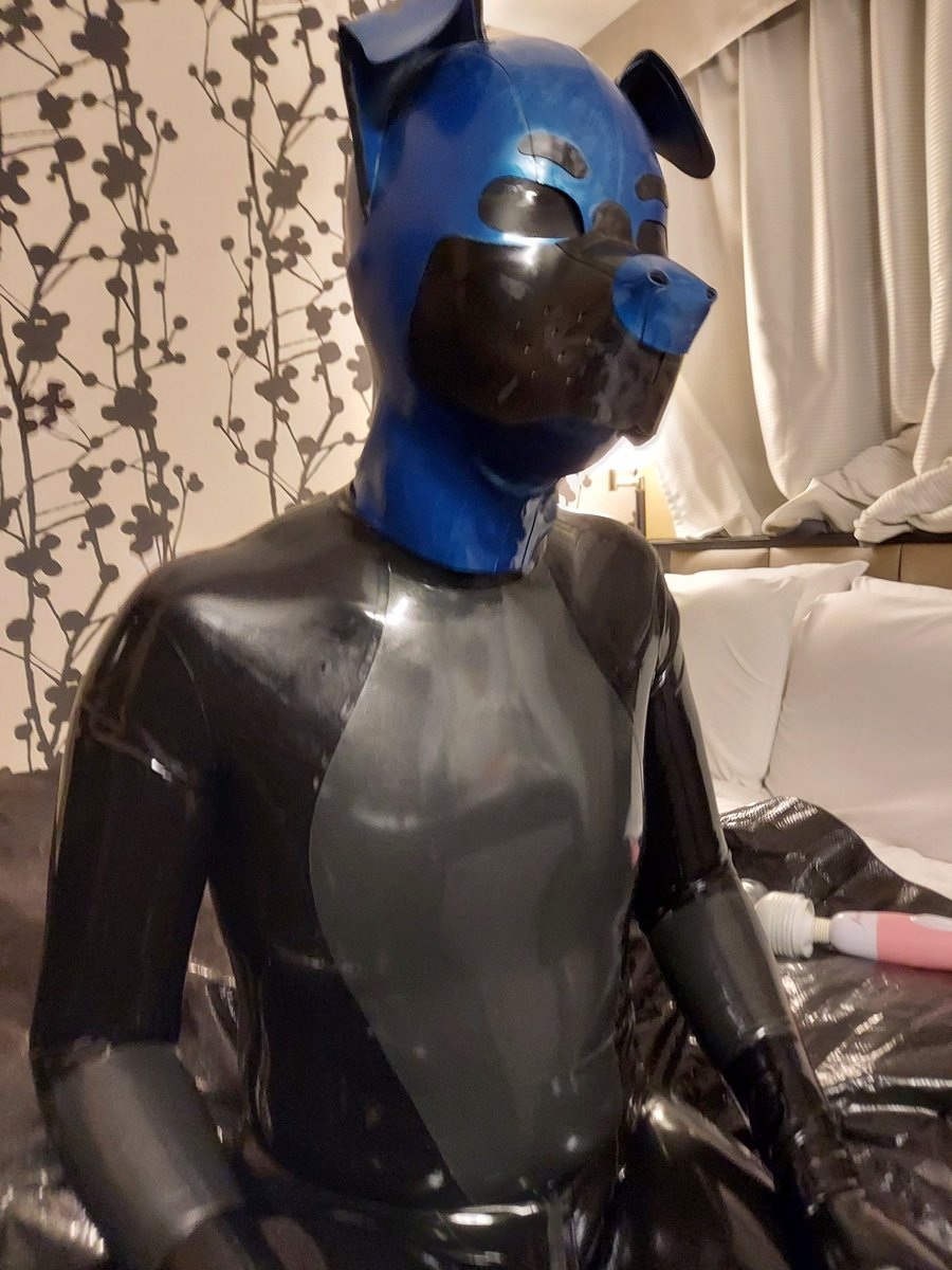 テン🦮 tweet media