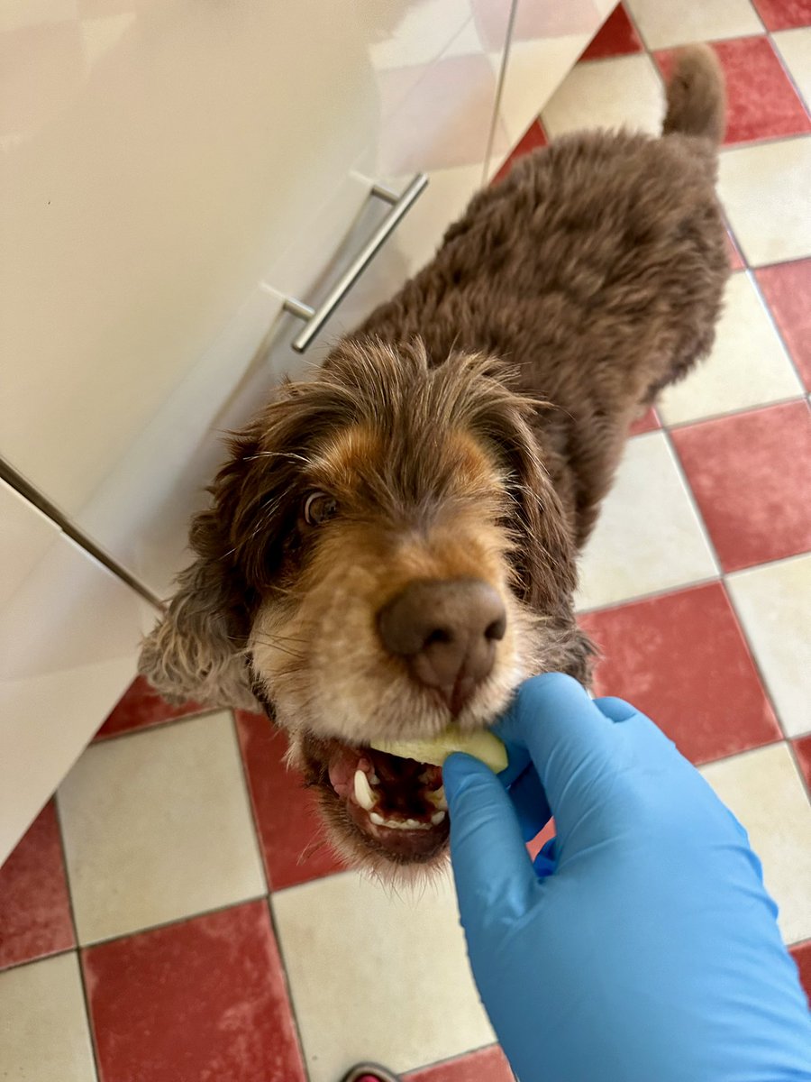 RobertLeCocker tweet media