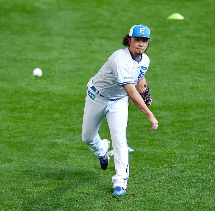 のもとけ tweet media