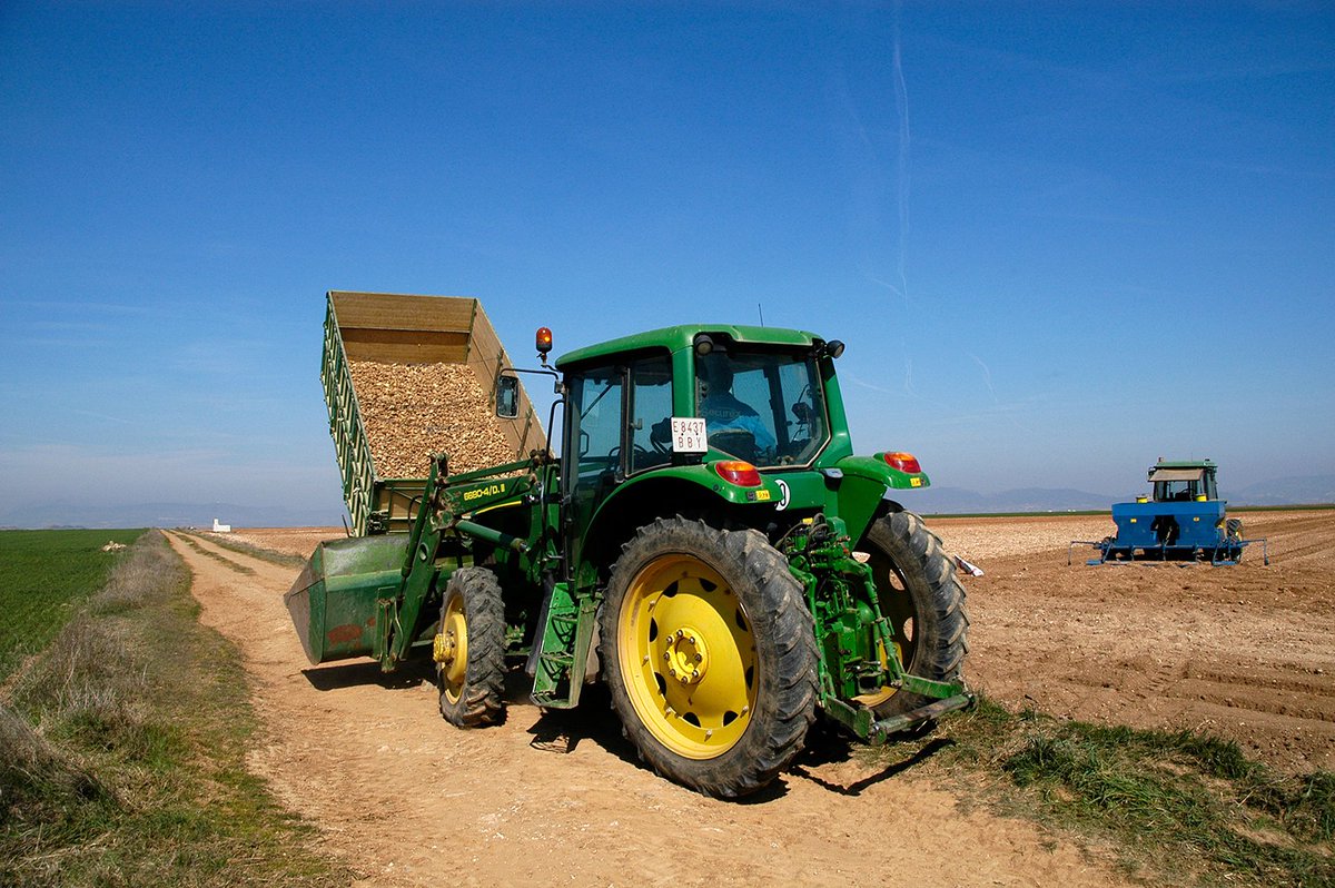 Cuaderno de campo tweet media