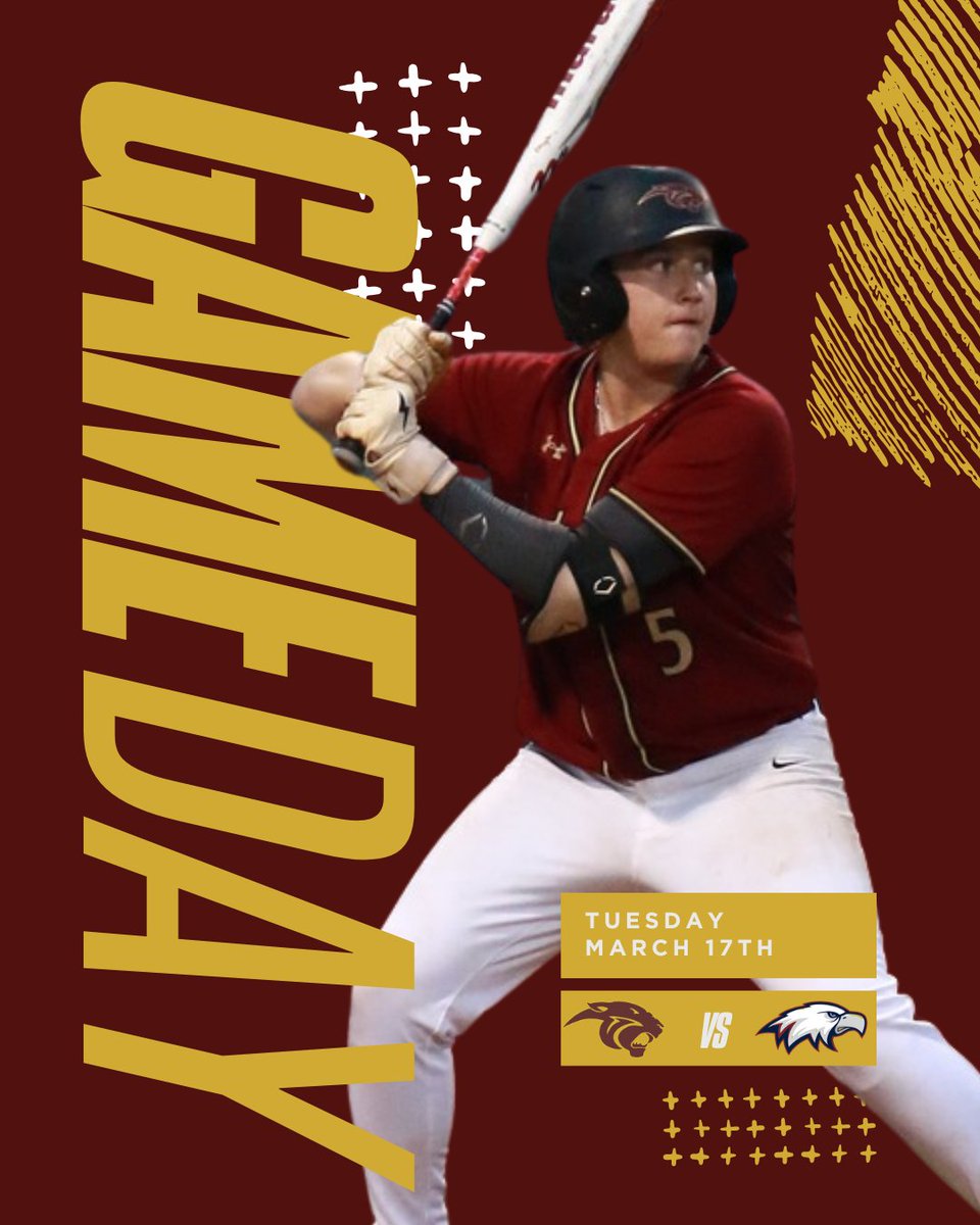 Countryside Baseball tweet media