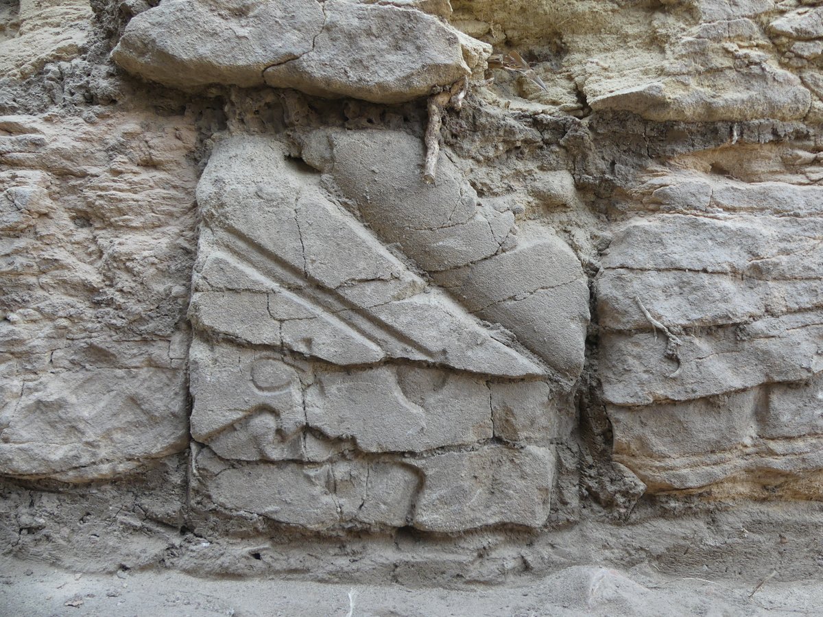 Eveha International tweet media