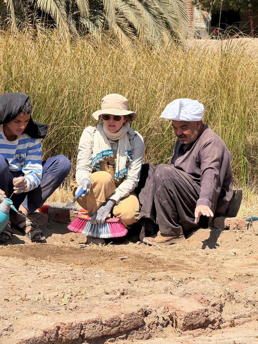 Eveha International tweet media