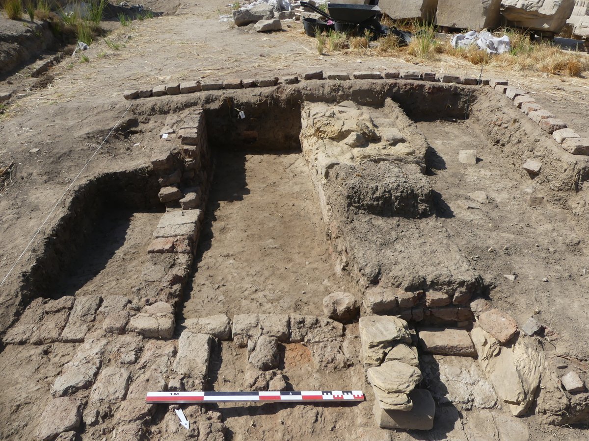 Eveha International tweet media