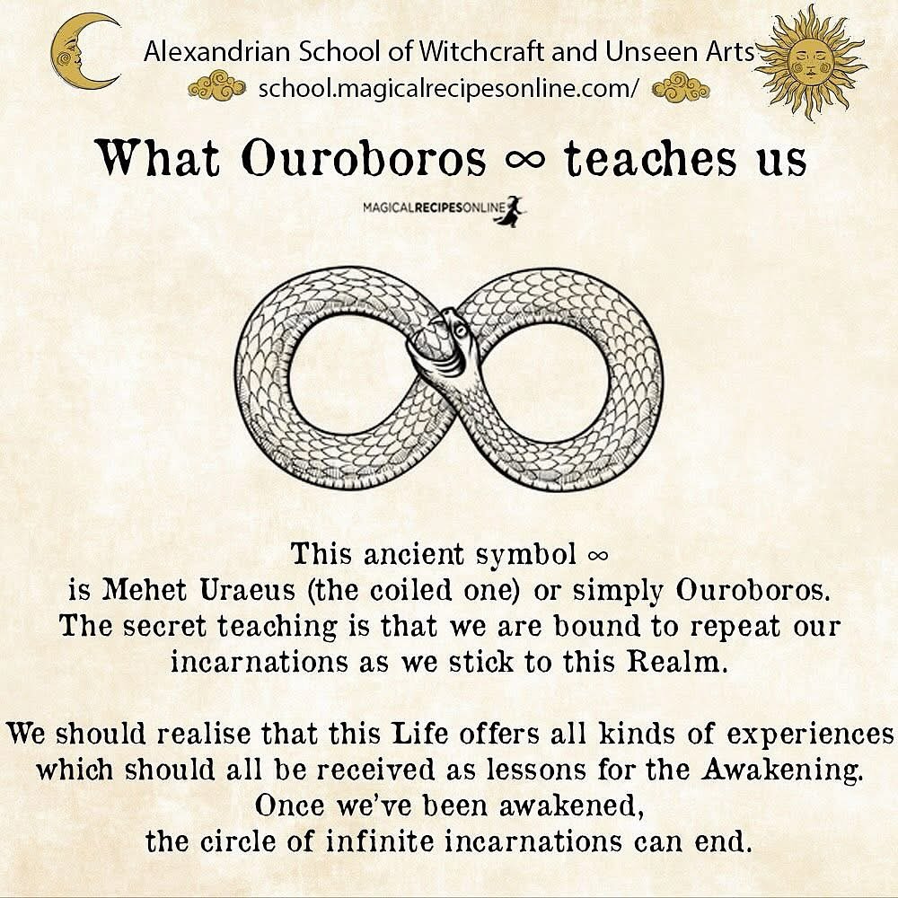 Trencher tweet media